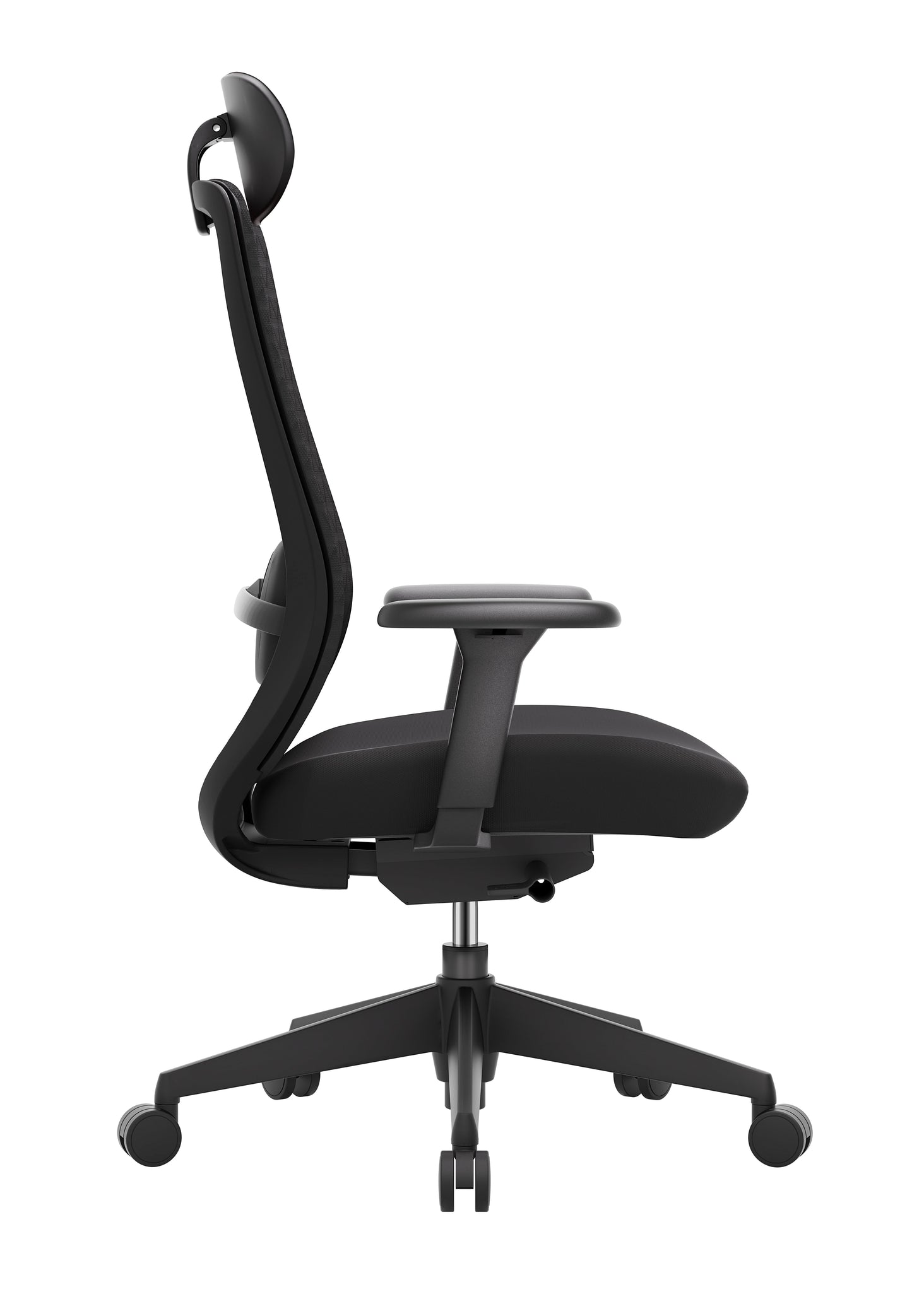 Axis Plus Negra