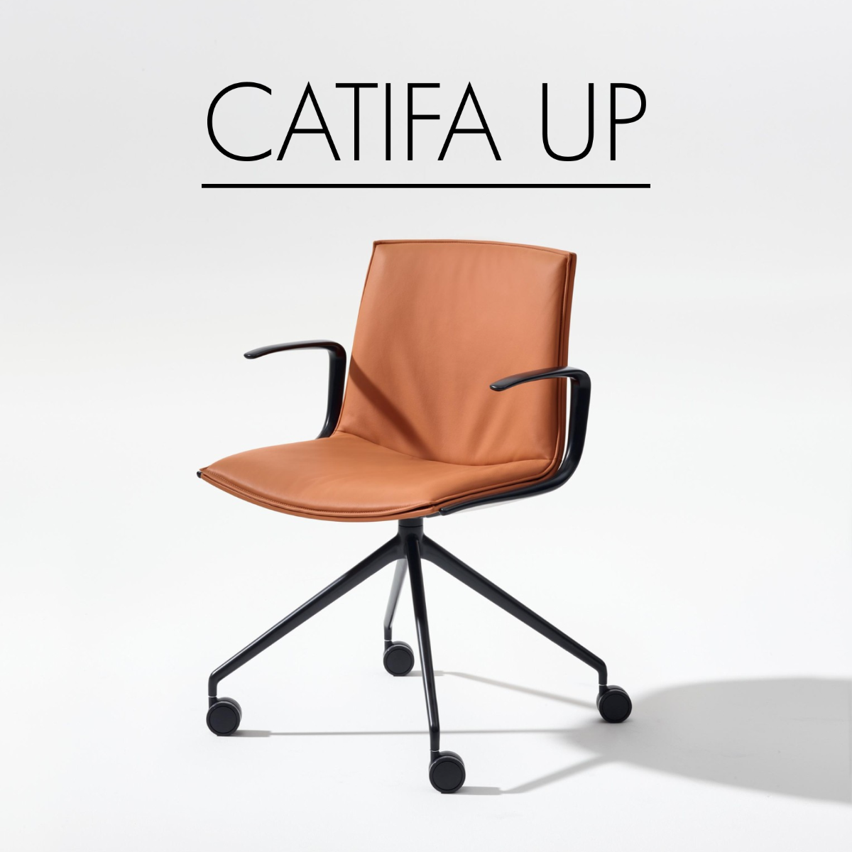 Sillas Catifa Up