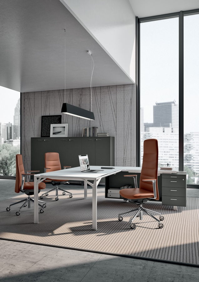 Set Sillas Ejecutivas Diade (1 Silla Ejecutiva + 2 de Visitas)